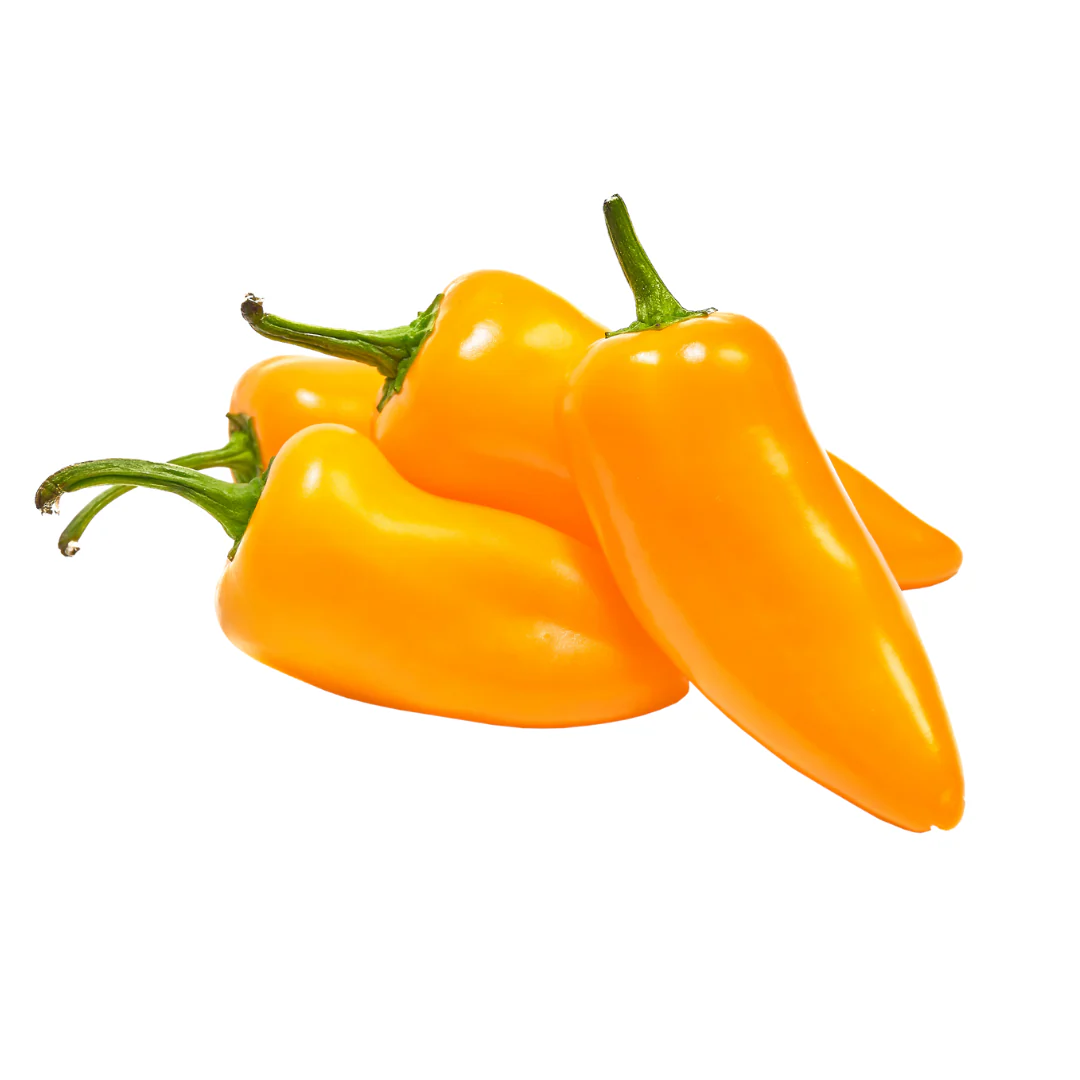 Shop Authentic Hatch Red and Green Chile Sauce from New Mexico
